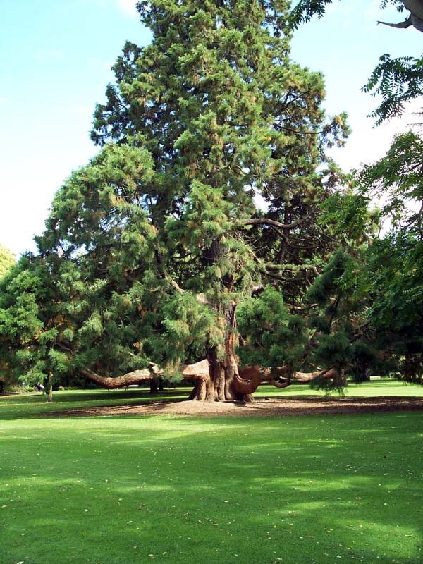 2006_02_024NewZealand010