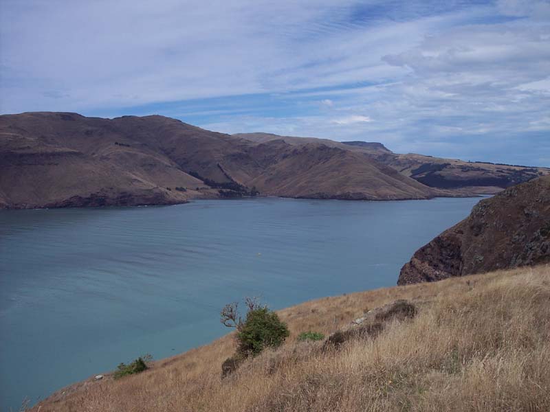 2006_02_024NewZealand040