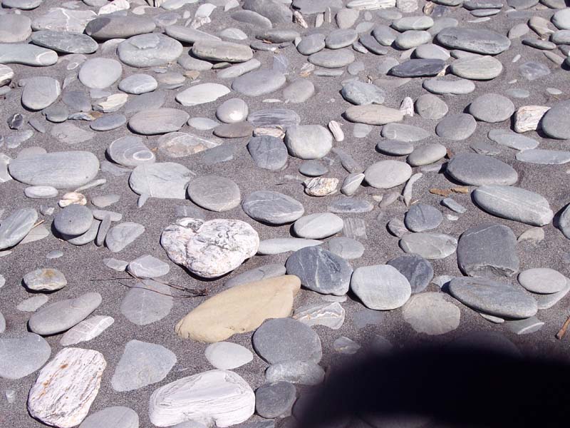 2006_02_024NewZealand121