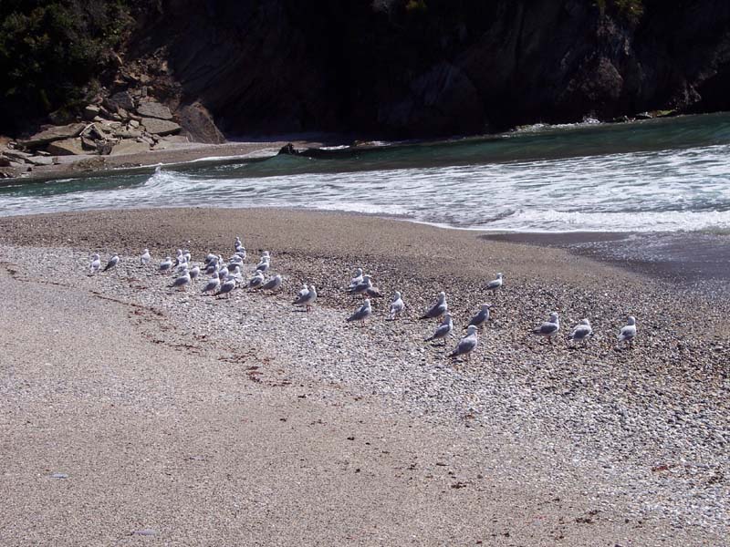 2006_02_024NewZealand141