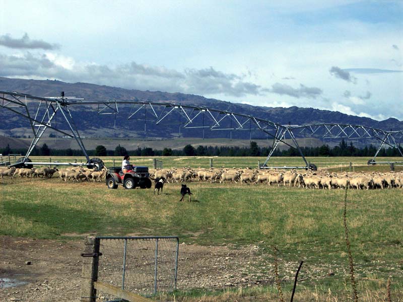 2006_02_024NewZealand175