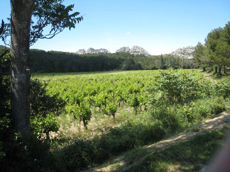 2008_06_01_Provence & Spain 1740