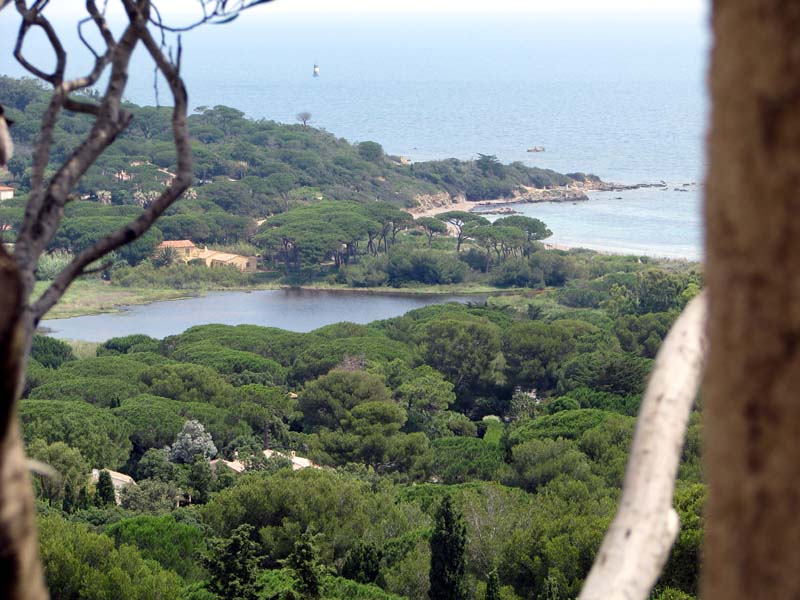 2008_06_09_St Tropez 1310