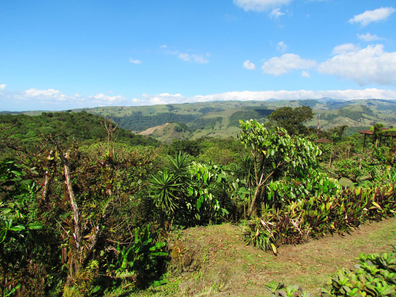 2011-03-03 Costa Rica 059