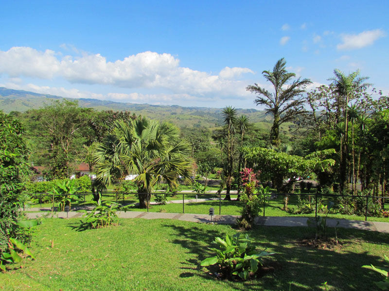 2011-03-03 Costa Rica 062